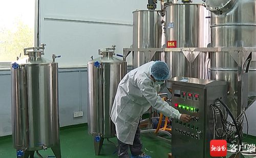 五指山油茶加工廠升級設備，榨出“致富油”助推鄉村振興