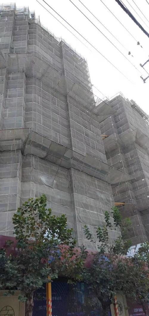 建筑建材企業商情 洞察市場脈搏，把握發展機遇